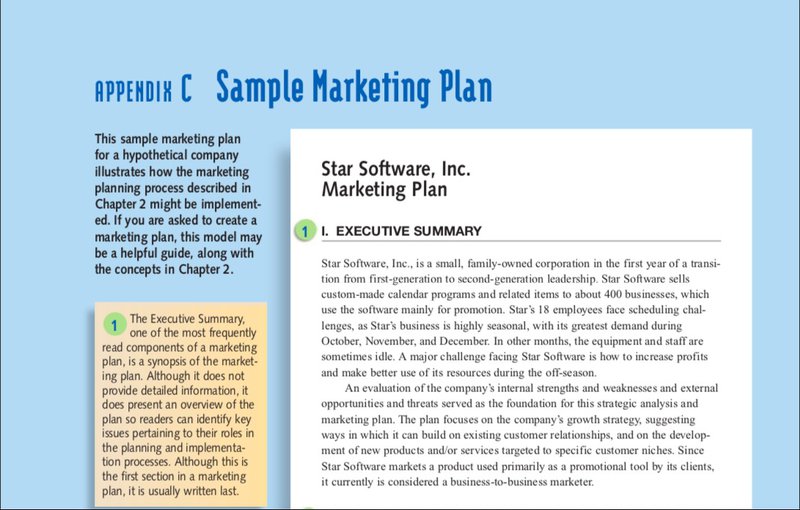 cengage marketing plan example