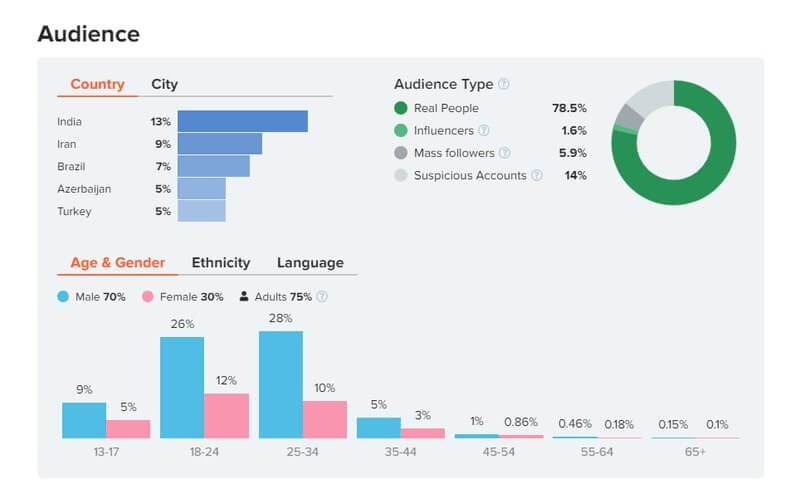 infuencer-report-audience