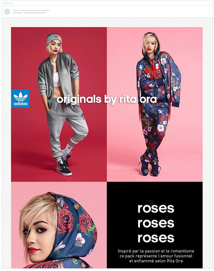 adidas-email-segmentation-by-gender-demographic