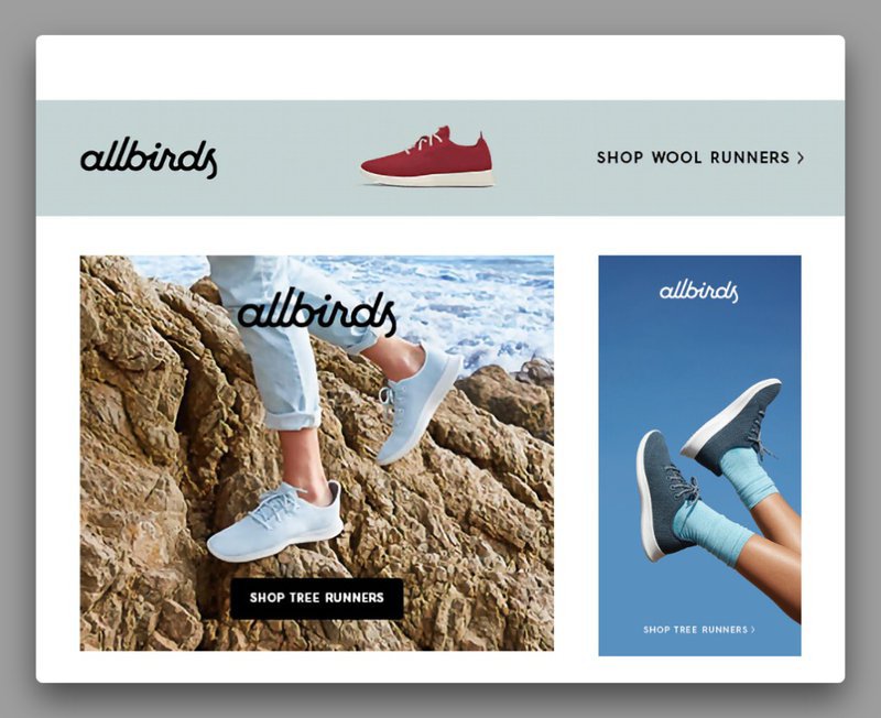 allbirds-google-display-ads-example