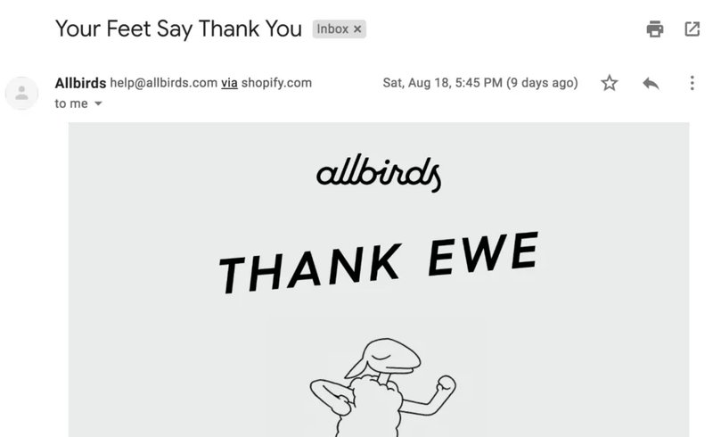 allbirds-thank-you-email