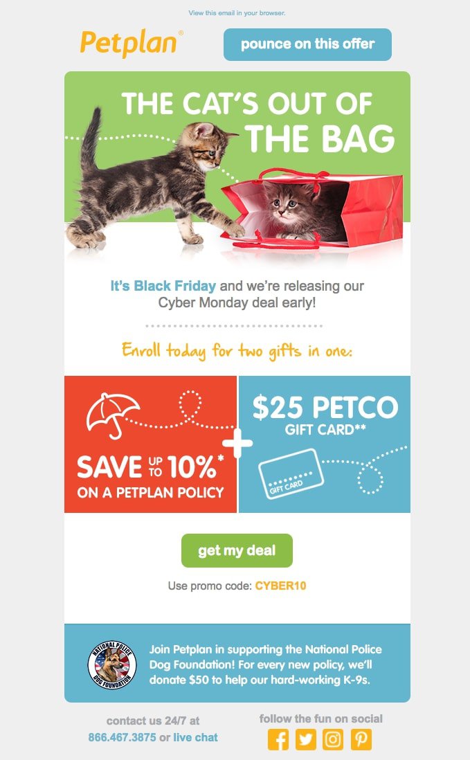 petplan-black-friday-email